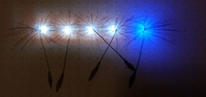 Dandelion seeds drawing lit up