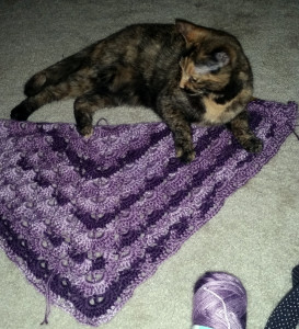 purple shawl in progress